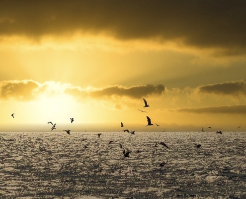 Engagement durable - tourisme responsable