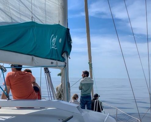 Balade en demi-journée autour de Marie-Galante
